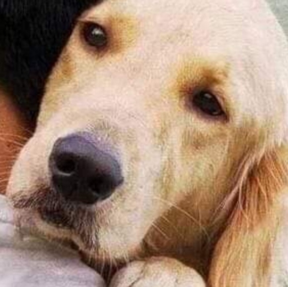 Meet your Posher, Elena - Picture 1 of 1